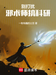彆打擾邪術師搞科研