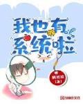 我也有係統啦