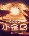 偷偷養隻小金烏